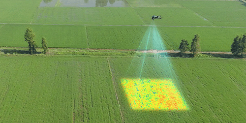 servicio-de-fumigacion-con-drones-fumigadores-para-agricultura