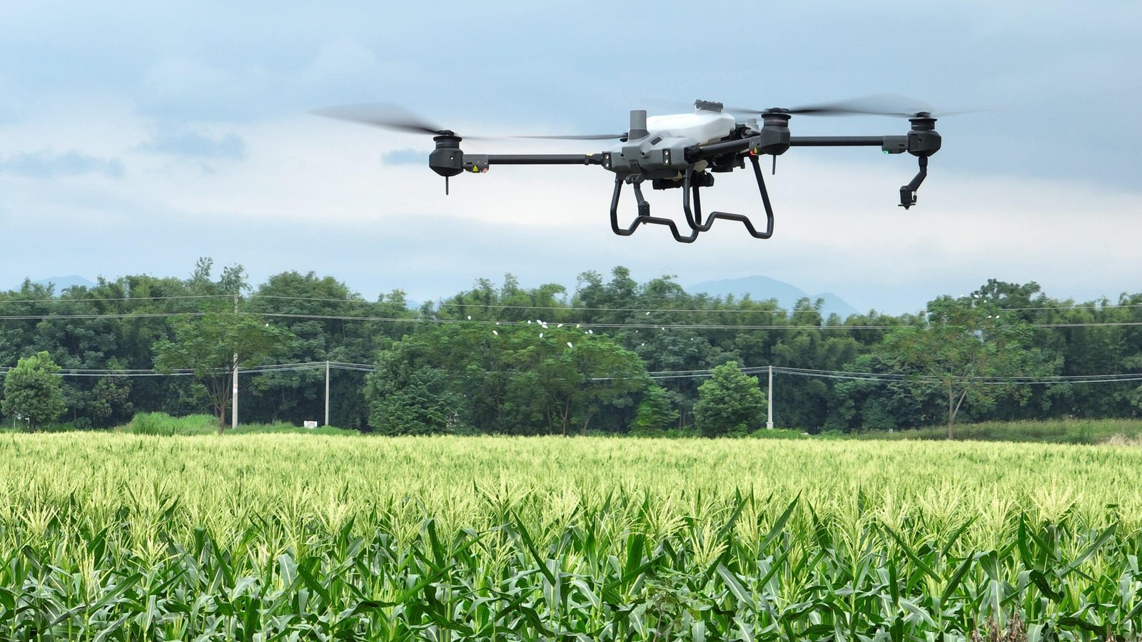 dron-fulmigando-cultivo-fotografia