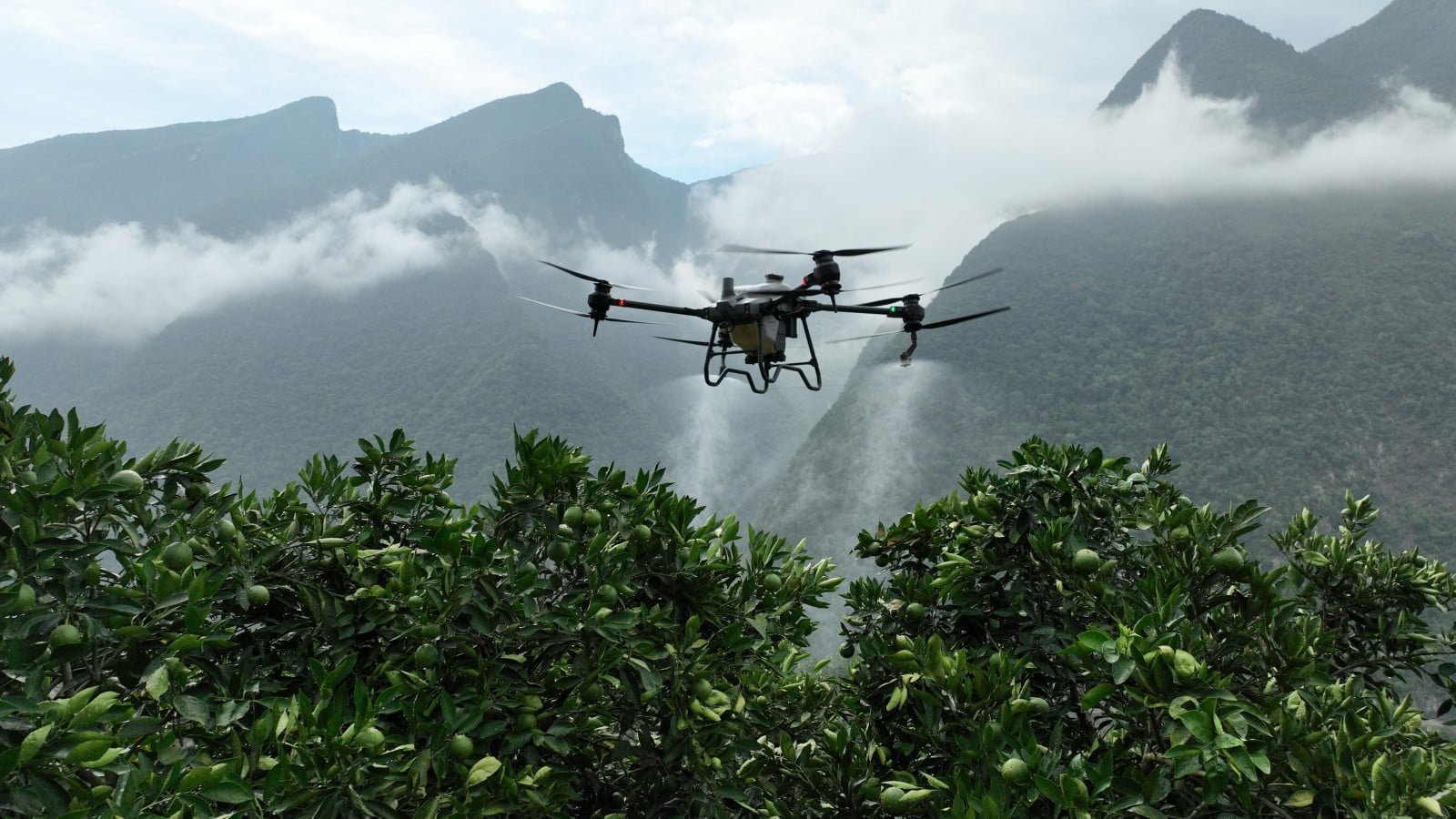 servicio-de-fumigacion-con-drones-fumigadores-para-agricultura