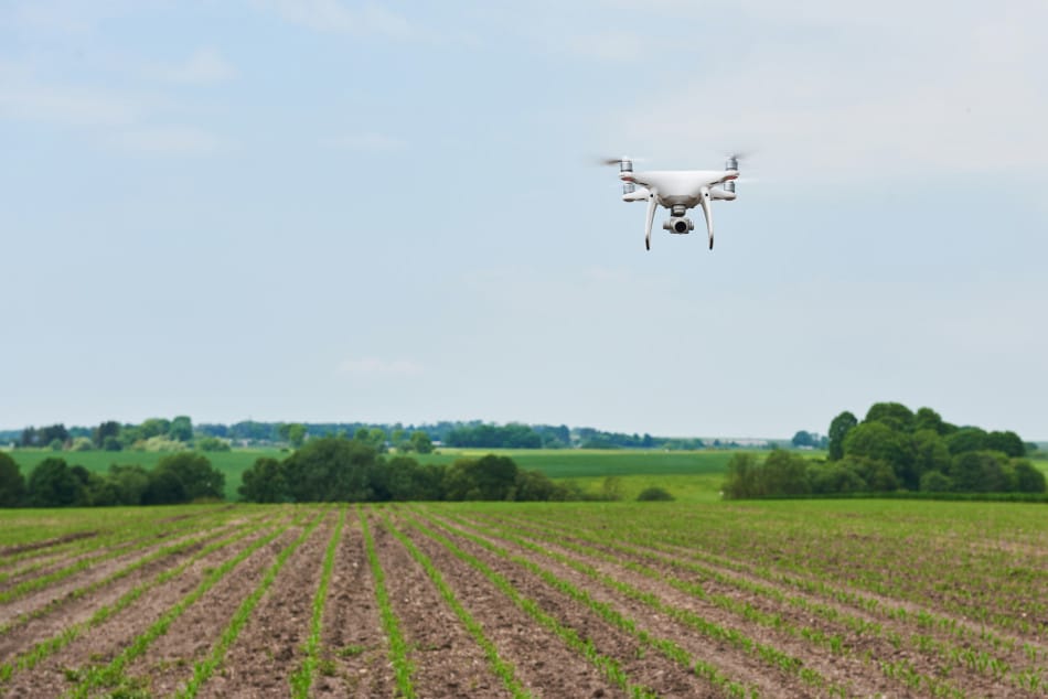 dron agrciola DJI a punto de fumigar un campo de cultivo con el cielo despejado de fondo