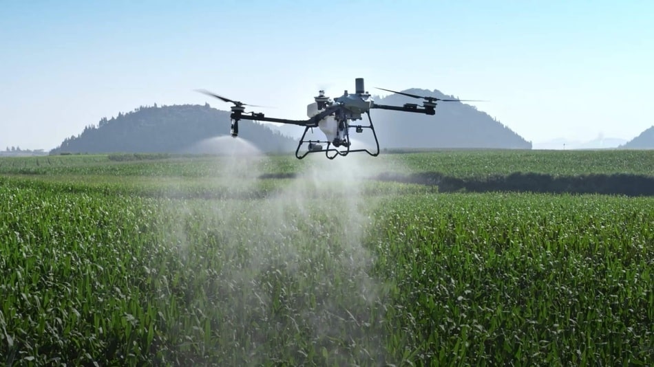 dji agras t70p fumigando un cultivo a plena luz del dia
