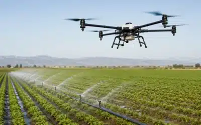Tipos de riego agrícola: 7 sistemas, ventajas y cuál elegir para cada cultivo